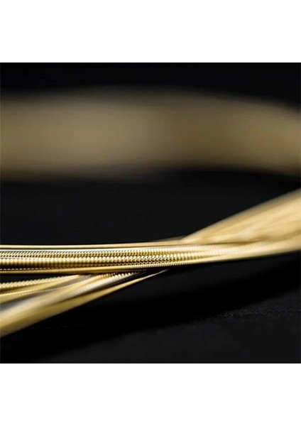 MA170 Akustik Gitar Teli Extra Light 10-47 indirimleri