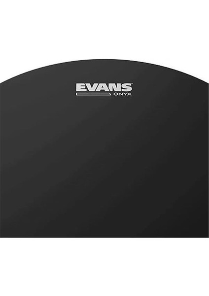 B10ONX2 10 Inc Tom Derisi