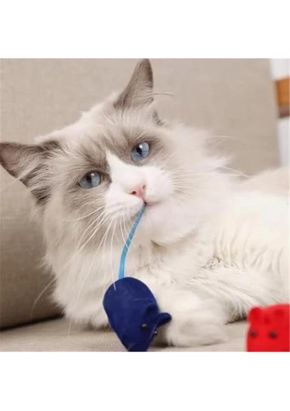 4'lü Sesli Fare Kedi Oyuncağı Seti – Renkli ve Eğlenceli Kedi Av Oyuncakları, Düdüklü