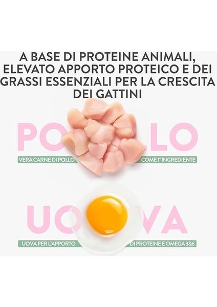 Born Carnivore Baby Tavuklu ve Yumurtalı Yavru Kedi Maması 1,25KG