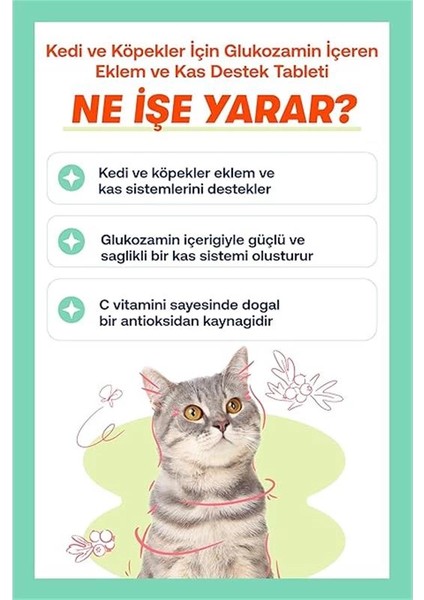 Move+G Glucosamine Tablet (Kedi ve Köpekler Için Eklem ve Kas Desteği) fırsatları