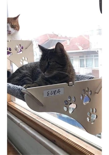 Cama Asılan Kedi Yğı Vantuzlu