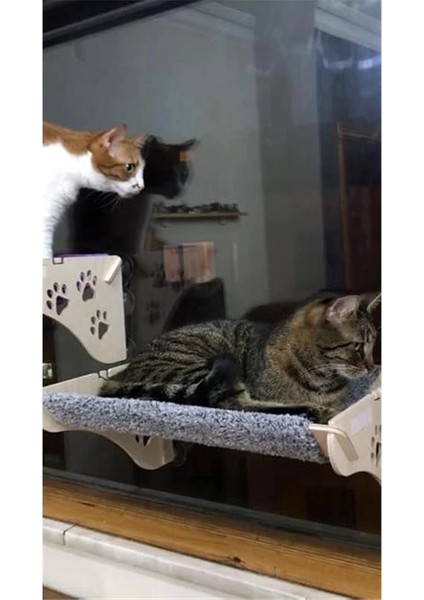 Cama Asılan Kedi Yğı Vantuzlu fiyatları