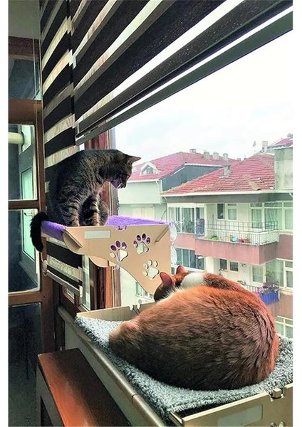 Cama Asılan Kedi Yğı Vantuzlu modelleri