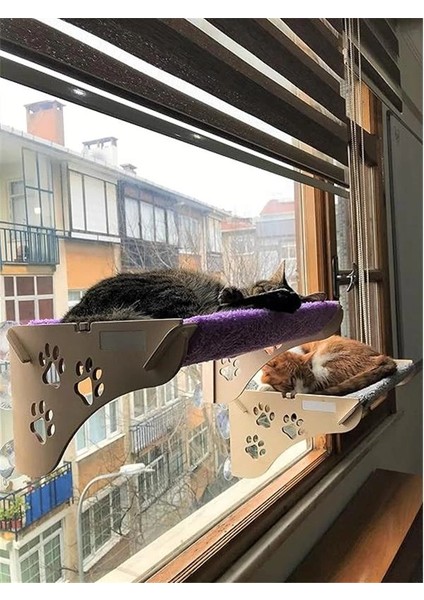 Cama Asılan Kedi Yğı Vantuzlu indirimleri