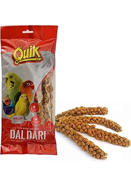 Doğal Dal Darı, Kuşlar Için