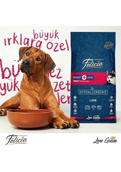 Az Tahıllı 15 kg Yetişkin Kuzulu M/large Breed Hypoallergenic Köpek Maması modelleri