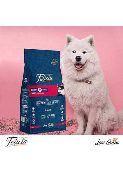Az Tahıllı 15 kg Yetişkin Kuzulu M/large Breed Hypoallergenic Köpek Maması fırsatları