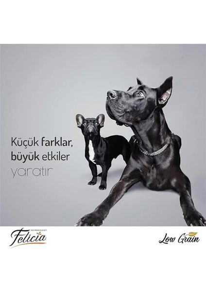 Az Tahıllı 15 kg Yetişkin Kuzulu M/large Breed Hypoallergenic Köpek Maması indirimleri