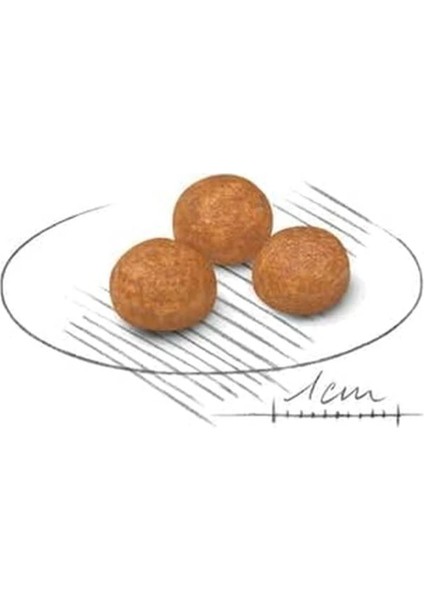 Xsmall Adult Yetişkin Köpek Maması 3 kg fırsatları