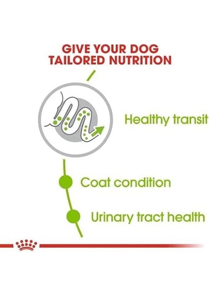 Xsmall Adult Yetişkin Köpek Maması 3 kg