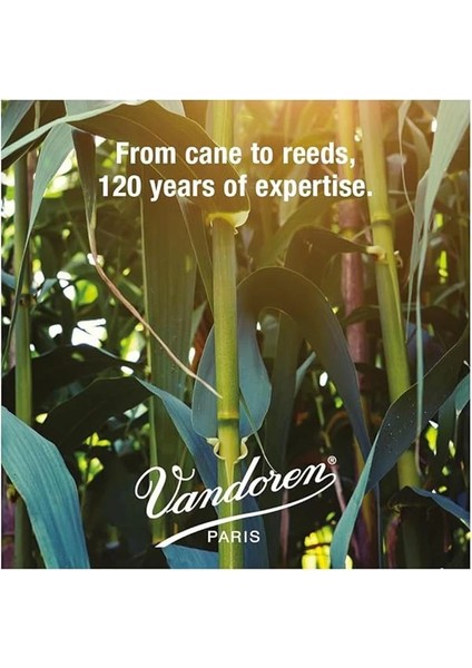 SR2225 Kutu 5 Yaprak Geleneksel 2.5 Sax Tenor