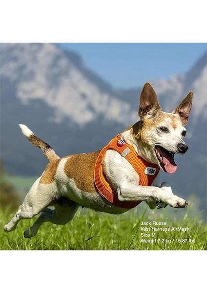 Air-Mesh Köpek Göğüs Tasması Kahve (Xxs) indirimleri