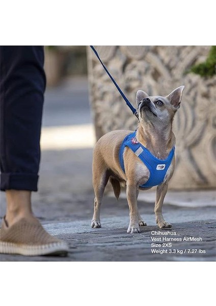 Air-Mesh Köpek Göğüs Tasması Kahve (Xxs)