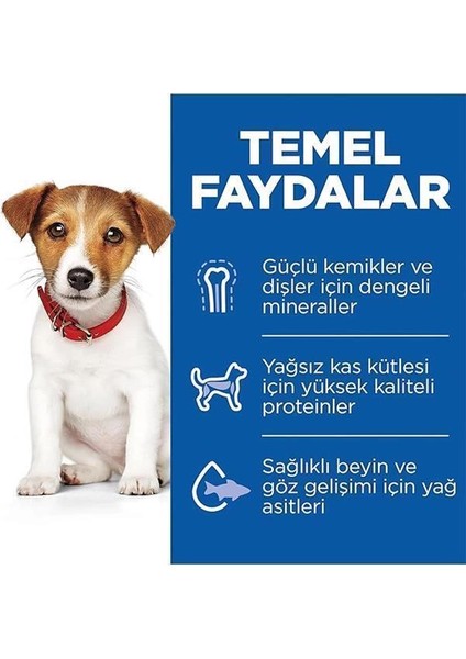 Hill's Scıence Plan Küçük Irk Kuzulu & Pirinçli Yavru Köpek Maması 6 kg modelleri