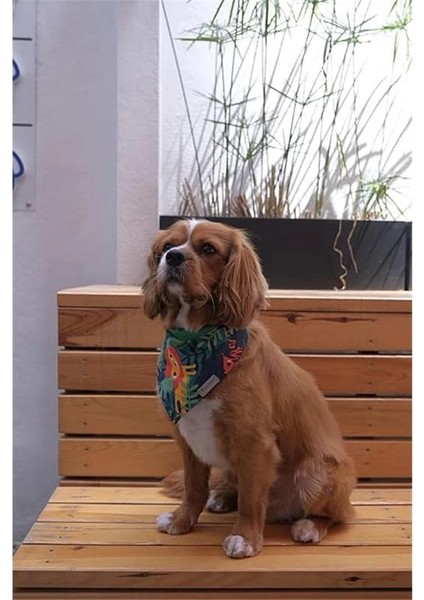 Hayvan Desenli Köpek Fuları Bandanası Köpek Kıyafeti Yeşil Xs