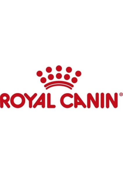 Poodle Yetişkin Köpek Maması, 3 kg fiyatları