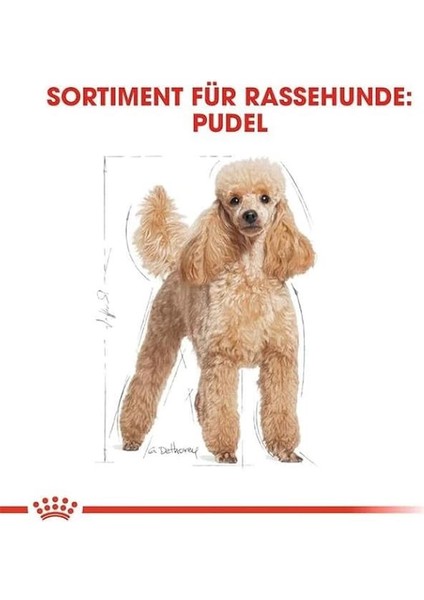 Poodle Yetişkin Köpek Maması, 3 kg modelleri