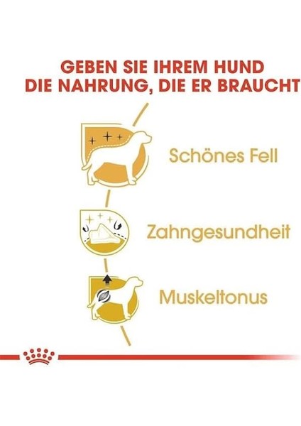 Poodle Yetişkin Köpek Maması, 3 kg indirimleri