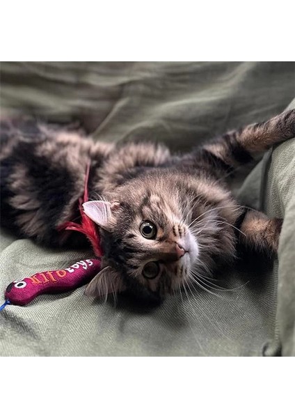 Toys Solucan (Olta) Peluş Kedi Oyuncağı indirimleri