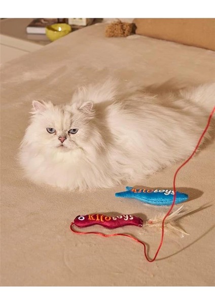 Toys Solucan (Olta) Peluş Kedi Oyuncağı