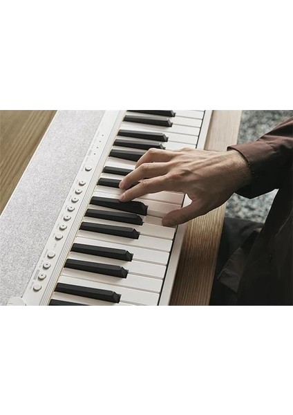 CT-S1-76WE 76 Tuşlu Org (Beyaz)