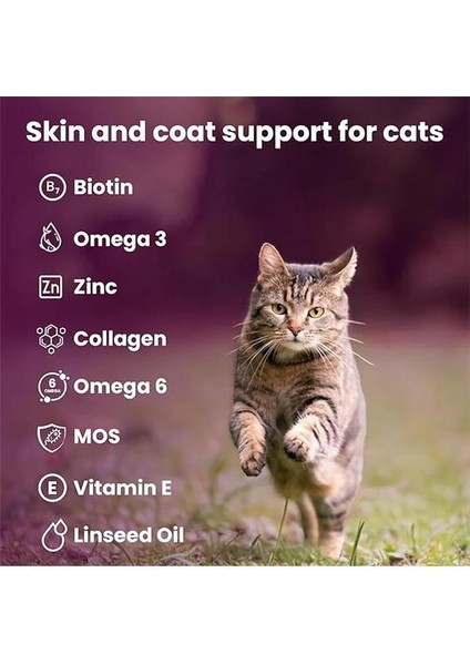 Dermacat Macun Cilt ve Mont Desteği Kediler Için 100ML fiyatları