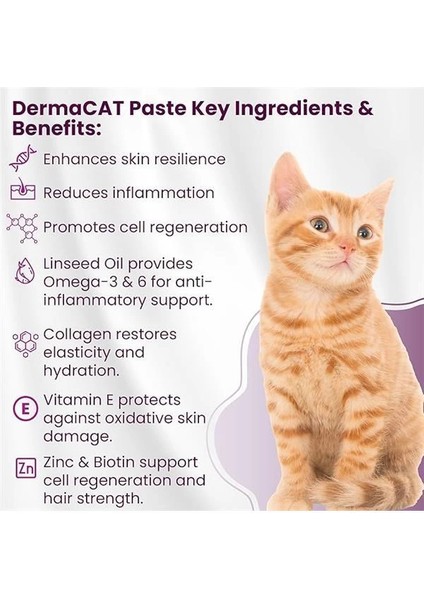 Dermacat Macun Cilt ve Mont Desteği Kediler Için 100ML modelleri
