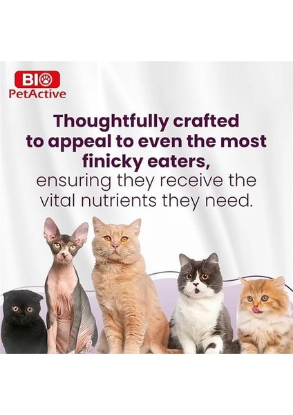 Dermacat Macun Cilt ve Mont Desteği Kediler Için 100ML