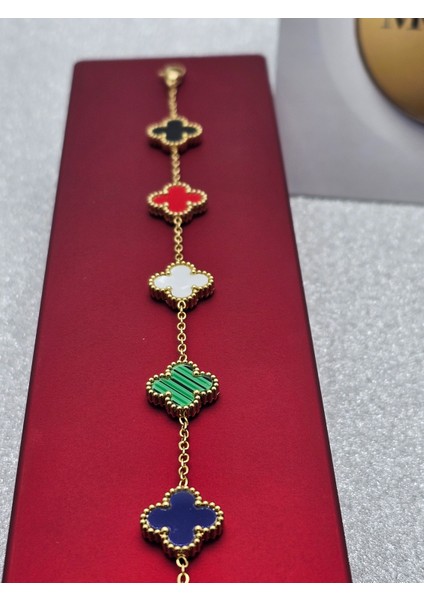 5 Renkli Çelik Bileklik Yonca Model Premium