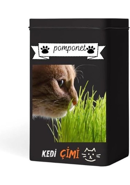 Pomponet Kedi Çimi 100GR (Ürün 1 Yıl Yetiyor)
