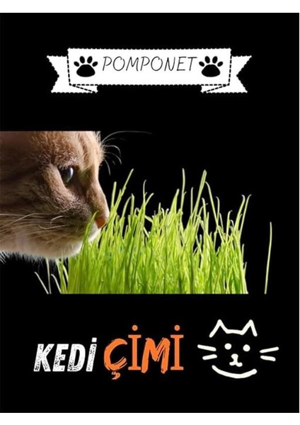 Pomponet Kedi Çimi 100GR (Ürün 1 Yıl Yetiyor) fiyatları