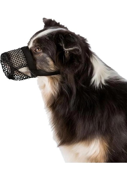 Köpek Ağızlığı, S-M, Siyah fırsatları