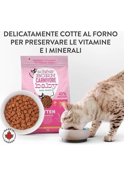 Born Carnivore Baby Tavuklu ve Yumurtalı Yavru Kedi Maması 1,25KG