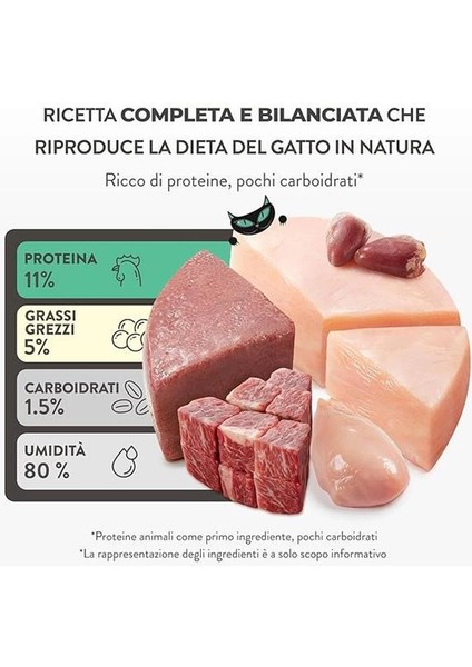 After Dark Tavuk ile Sığır Mus Yetişkin Kedi Pouch 80G