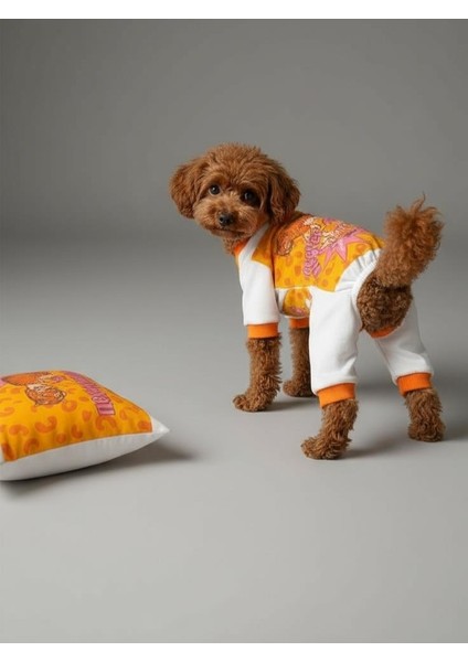 Tiger Köpek Uyku Takımı | Pamuklu Penye Köpek Tulumu ve Mini Yastık | Küçük Irklar Için | Tüy Dökülmesini Azaltır fırsatları