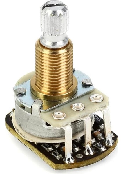 Spc Aktif Strat Varlık Kontrolü