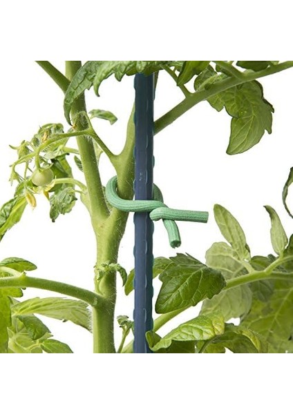 Nite Ize &apos;s Gear Tie Tekrar Kullanılabilir Köpük Bükümlü Bağ-6 M, Yeşil, 6 M fiyatları