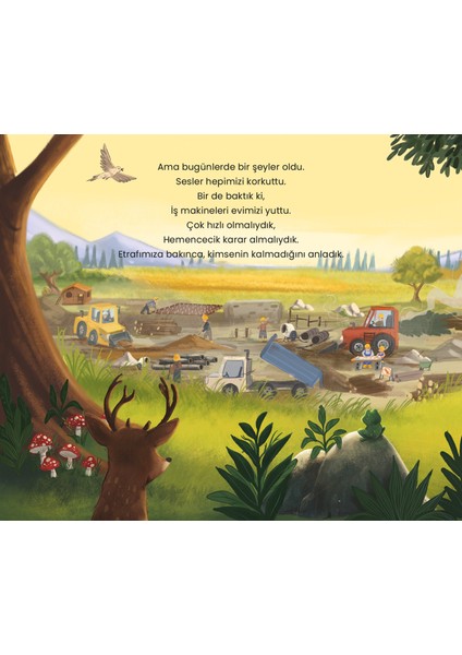 En Büyük Gölge Kimin? Resimli Öykü Kitabı / 4 yaş +