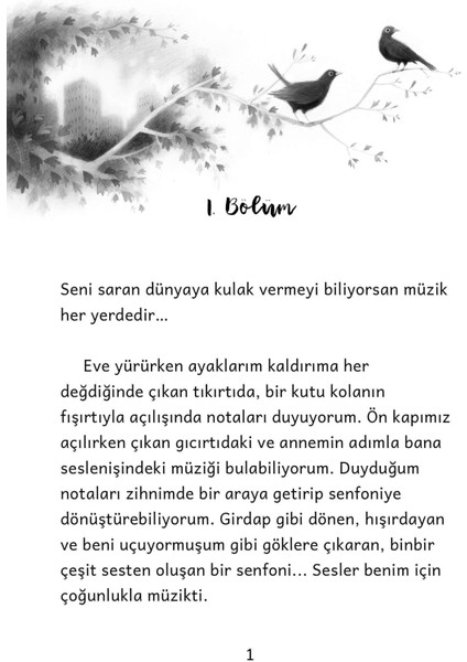 Kuşun Şarkısı Resimli Çocuk Romanı / 8 yaş + modelleri