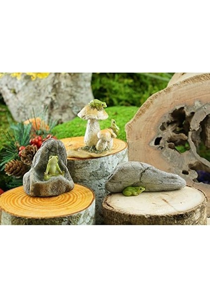 Top Minyatür Bahçesi ve Teraryum Mantar Heykeli Üzerinde Mini Kurbağalar