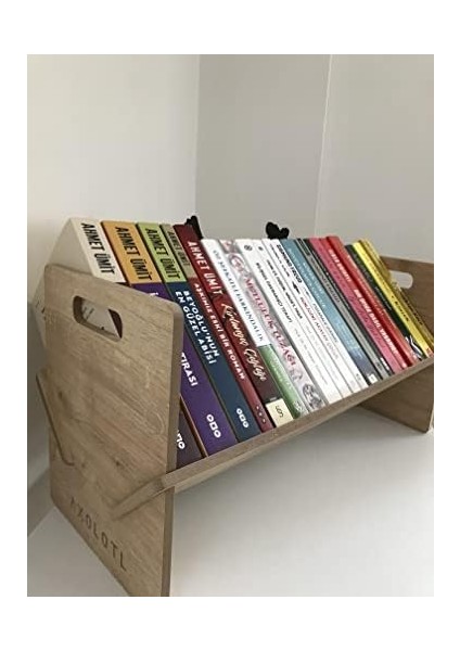 Axolotl Masaüstü Kitaplık Mini Raf Masaüstü Kitap Düzenleyici (50CM)