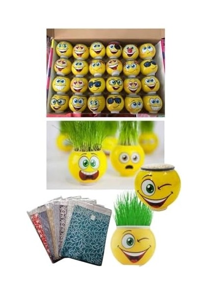 Adam Çim Adam 10 Adet Doğum Günü Hediye Paketi ile Birlikte Okul Öncesi Kreş Aktivite Etkinlikler Emoji fiyatları