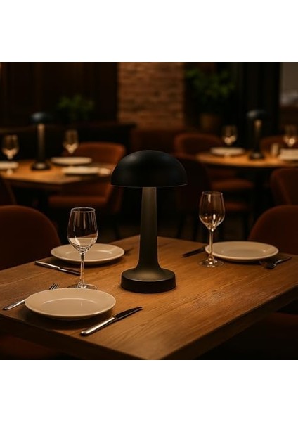 Siyah Dokunmatik Şarjlı Masa Lambası – 3 Renk Modu (6400K-3200K-1600K), 2W Led, 30-50 Lümen, 1200MAH Batarya, USB 5V Dc modelleri