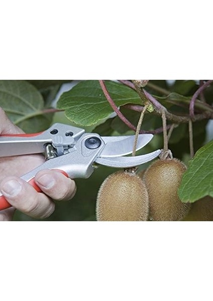 J441 Makas Baumschere Bir El Kurve 21 Cm.