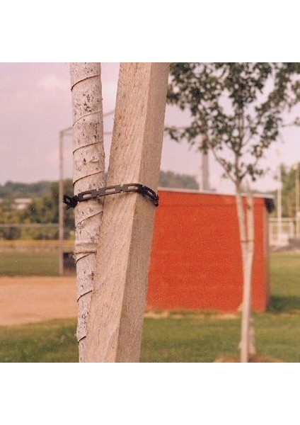 Easyflex 1100-2 Firmflex Zincir Kilitli Ağaç Bağı, 100 Ayak, Siyah fiyatları