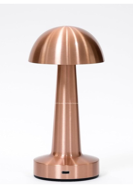 Mantar Şekilli Masa Lambası 3 Fonksiyonlu Şarjlı LED Aydınlatma Dokunmatik Kontrol Dekoratif Gece Lambası Yatak Odası Salon Ofis Işık (Bakır)