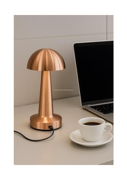 Mantar Şekilli Masa Lambası 3 Fonksiyonlu Şarjlı LED Aydınlatma Dokunmatik Kontrol Dekoratif Gece Lambası Yatak Odası Salon Ofis Işık (Bakır) fiyatları