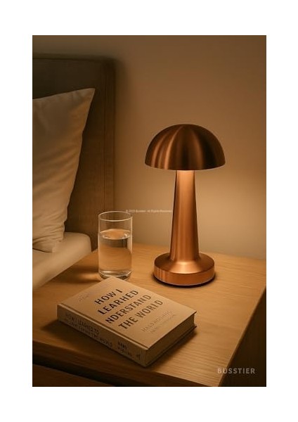 Mantar Şekilli Masa Lambası 3 Fonksiyonlu Şarjlı LED Aydınlatma Dokunmatik Kontrol Dekoratif Gece Lambası Yatak Odası Salon Ofis Işık (Bakır) modelleri