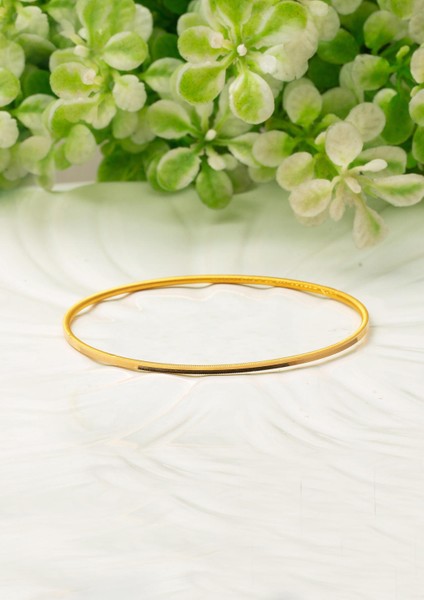 Ajda 22 Ayar Altın Bilezik 10 Gr. fiyatları